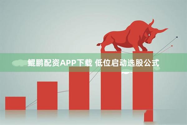 鲲鹏配资APP下载 低位启动选股公式