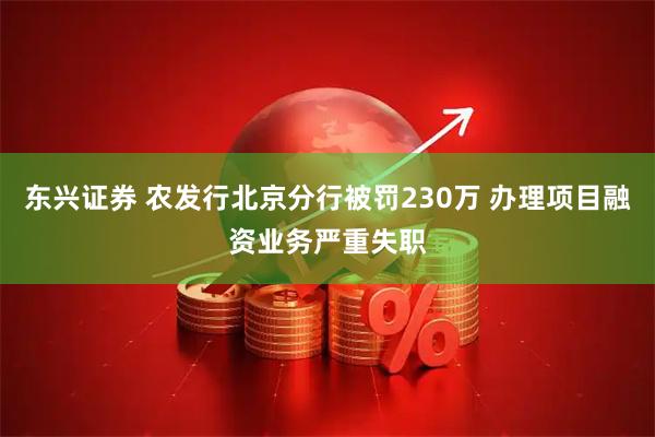 东兴证券 农发行北京分行被罚230万 办理项目融资业务严重失职