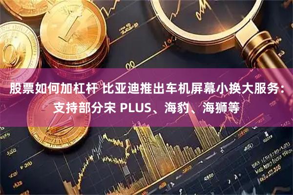 股票如何加杠杆 比亚迪推出车机屏幕小换大服务：支持部分宋 PLUS、海豹、海狮等